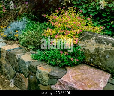 Stone Bench, Fern Canyon Garden, Mill Valley, Kalifornien Stockfoto