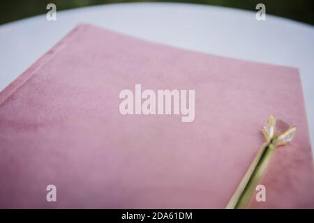 Ein rosa Buch mit einem schönen Stift auf dem Tisch Stockfoto