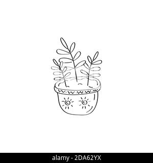 Hausanlage. Blumen im Topf. Symbol „Ficus“. Handgezeichnete Vektorgrafik Doodle Illustration Stock Vektor