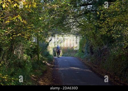 Ein Pferd und ein Reiter machen sich in der Herbstsonne, Shropshire, Großbritannien, auf einer schmalen Landstraße auf den Weg Stockfoto