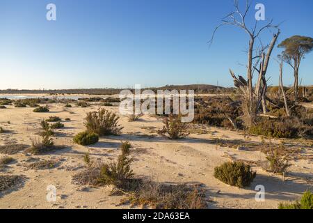 Die atemberaubende Landschaft in der Nähe der Stadt Hyden, Westaustralien Stockfoto