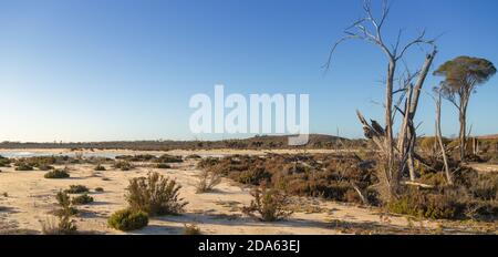 Die atemberaubende Landschaft in der Nähe der Stadt Hyden, Westaustralien Stockfoto