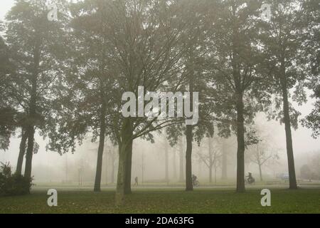 Baumgesäumte Straße mit Radfahrern und Fußgängern im Nebel, frühmorgendliche Herbstszene in Bovenkarspel, Niederlande Stockfoto