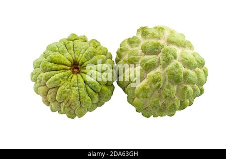 Close up reife Custard Apfel isoliert auf weißem Hintergrund.gespeichert mit Clipping Pfad. Stockfoto