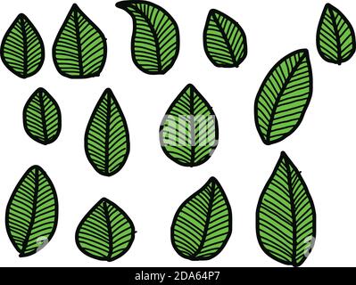 Vektor-Illustration Hand gezeichnete Kritzeleien grüne Blätter Kollektion. Stock Vektor