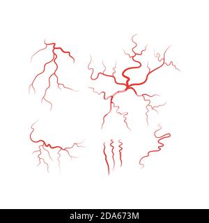 Vektor der roten Blutgefäße der menschlichen Venen Stock Vektor