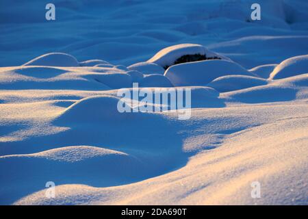 Nahaufnahme Detail von Pulverschnee und seine Muster mit kleinen Hügeln. Die Schneeflocken funkeln im Licht der Sonne. Ilulissat, Disko Bay, Grönland. Stockfoto