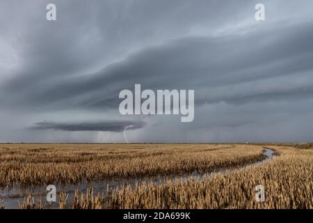 Blitze über den überfluteten Reisfeldern in Albufera Stockfoto