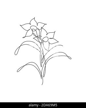 Eine kontinuierliche Linie Zeichnung schöne abstrakte Lilie Blume. Minimal frische Schönheit natürliches Konzept. Home Wanddekor, Poster, Tasche, Stoffdruck Stock Vektor