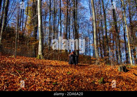 Eine einzige unbekannte Frau, die im Herbstwald sitzt und sie begrubt Kopf in den Händen Stockfoto