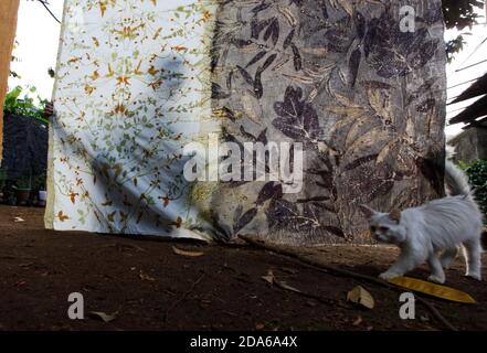 Bogor, Indonesien. November 2020. Ein Handwerker trocknet ein gemustertes Tuch während der Stoffherstellung mit Öko-Druck-Techniken in der Arae Produktionsgalerie in Bogor City, West Java, Indonesien, am 9. November 2020. Eco-Printing ist eine Technik, mit der Pflanzen, Blätter und Blumen ihre Formen, Farben und Markierungen auf Stoff für einen der umweltfreundlichen Modetrends hinterlassen. (Foto von Adrian/INA Photo Agency/Sipa USA) Quelle: SIPA USA/Alamy Live News Stockfoto