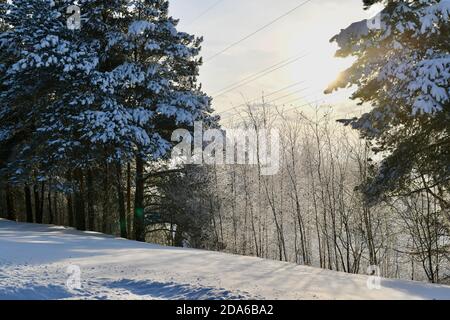 Winterlandschaft an einem sonnigen klaren Tag. Stromleitungen über den Himmel. Stockfoto