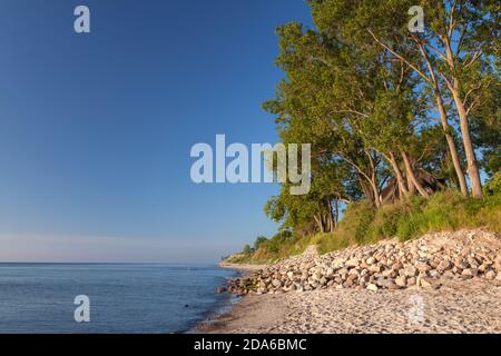 Geographie / Reisen, Deutschland, Schleswig-Holstein, Dahme, Steilküste und Ostsee in Dahme, Holstein, Additional-Rights-Clearance-Info-not-available Stockfoto