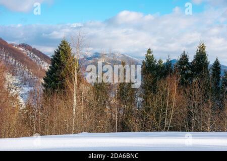 Berglandschaft im Winter. Wald auf schneebedeckten Hügeln. Wolken auf dem lebendigen blauen Himmel über der landschaft der karpaten. Wunderbar sonnig Stockfoto