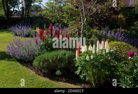 Sommer Grenze in English Garden, England, Europa Stockfoto