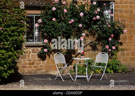 Kletterrose an der Hauswand mit Gartensitzplätzen in englischer Sprache Garden, England, Oxfordshire Stockfoto