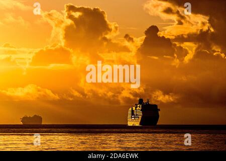 Torbay, Torquay, Devon, Großbritannien. November 2020. Zwei riesige Kreuzfahrtschiffe sonnen sich in der herrlichen Herbstsonne während des Sonnenaufgangs in Torbay in Devon. Die Schiffe sind zwei von mehreren Kreuzfahrtschiffen, die derzeit in Torbay ohne Passagiere während der Coronavirus-Pandemie vor Anker liegen. Hinweis: Die beiden abgebildeten Schiffe sind die Emerald Princess (links) und die MS Westerdam. Kredit: Ian Williams/Alamy Live Nachrichten Stockfoto