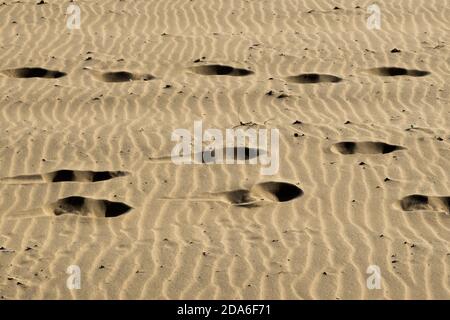 Fußabdrücke im windgesprengten Sand am Strand von Boscombe, einem Teil des berühmten sieben Meilen langen Sandstrandes in Bournemouth und Poole in Dorset. 28. September 2015. Foto: Neil Turner Stockfoto