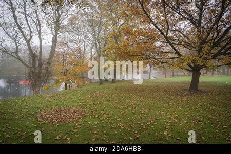 Atemberaubende Herbstfarben im Misty Lister Park in Bradford, Großbritannien Stockfoto