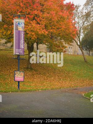 Atemberaubende Herbstfarben im Misty Lister Park in Bradford, Großbritannien Stockfoto