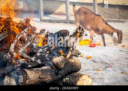 Ein Scheiterhaufen brennt auf harichandra Ghat in banaras Stockfoto