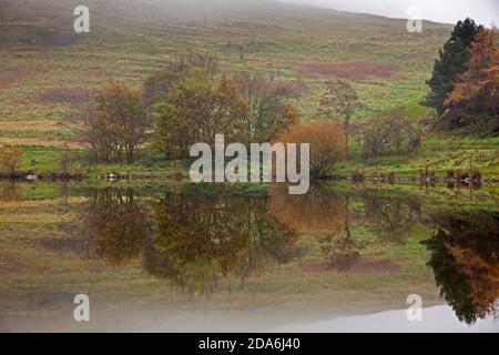 Dunsapie Loch, Edinburgh, Schottland, Großbritannien. 10. November 2020. Nebel noch immer über der schottischen Hauptstadt, aber Clearing gegen Mittag. Im Bild: Dunsapie Loch im Holyrood Park, der den Gipfel von Arthur's Seat und die umliegenden Bäume in seinen stillen Gewässern widerspiegelt. Quelle: Arch White/ Alamy Live News. Stockfoto