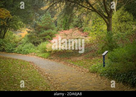 Atemberaubende Herbstfarben im Misty Lister Park in Bradford, Großbritannien Stockfoto