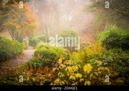 Atemberaubende Herbstfarben im Misty Lister Park in Bradford, Großbritannien Stockfoto