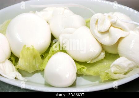 Teller mit verschiedenen Arten von Büffelmozzarella, Bocconcino, Mozzarella, Zopf und Burrata auf Salatblatt Stockfoto