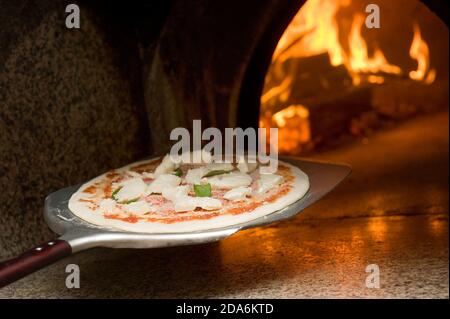 Der Pizzabäcker backt eine echte margherita Pizza im Holzofen mit der Schaufel Stockfoto