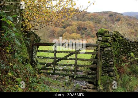 Holztor in einem Lake District Trockensteinmauer, Cumbria, England, Großbritannien. Stockfoto