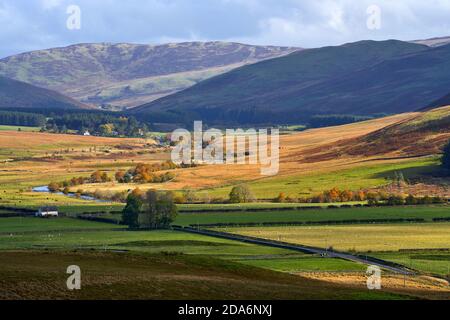 Blick auf das Yarrow Valley von der Spitze des St. Mary's Loch an einem schönen Herbsttag. Stockfoto