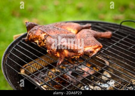 Traditionelles Grillhuhn al mattone auf Holzkohlegrill. Grillen und Rauchen Spatchcock Huhn im Freien auf Brennholz BBQ Grill in Natu Stockfoto