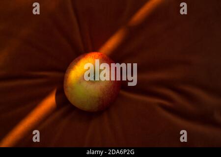 Ein einzelner Apfel sitzt auf einem Samtkissen, das von einem getroffen wird Die Abendsonne Stockfoto