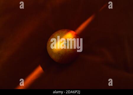 Ein einzelner Apfel sitzt auf einem Samtkissen, das von einem getroffen wird Die Abendsonne Stockfoto