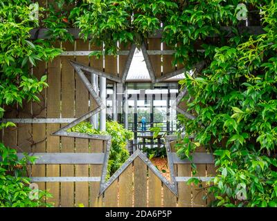 Siebenzackige Sterne auf einem Holzzaun der Colonial Brewery Company Margaret River Western Australia. Stockfoto