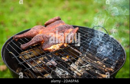 Traditionelles Grillhuhn al mattone auf Holzkohlegrill. Grillen und Rauchen Spatchcock Huhn im Freien auf Brennholz BBQ Grill in Natu Stockfoto