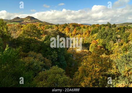 Blick über die Eildons von Scott's View an einem schönen Herbsttag. Stockfoto