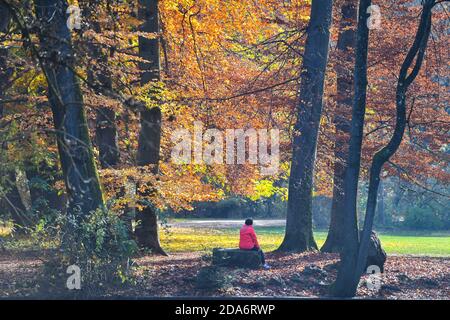 München, Deutschland. November 2020. Wetterbild am 11/10/2020. Herbst im Englischen Garten in München-nach dem Nebel im Englischen Garten in München, und Kinderwagen genießen die Sonnenstrahlen unter den Herbstblättern. Quelle: dpa/Alamy Live News Stockfoto