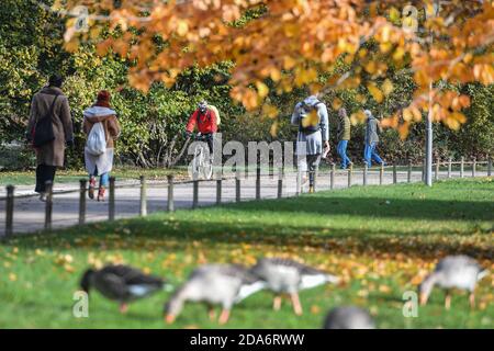 München, Deutschland. November 2020. Wetterbild am 11/10/2020. Herbst im Englischen Garten in München-nachdem der Nebel aufgehellt hat, scheint die Sonne im Englischen Garten in München. Walkers und Gaense genießen die Sonnenstrahlen Quelle: dpa/Alamy Live News Stockfoto