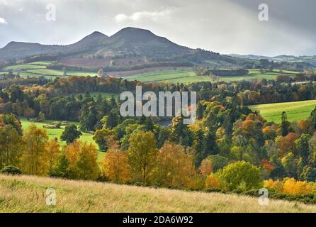 Blick über die Eildons von Scott's View an einem schönen Herbsttag. Stockfoto