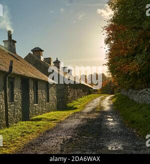 Reihe von Bauernhäusern und eine alte Scheune in Herbstsonne in der Nähe von Galashiels, Scottish Borders. Stockfoto