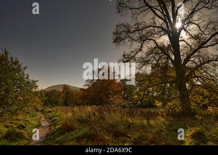 Herbstliche Pfadszene entlang des Flusses Tweed, die zum Eildon Hill führt, beleuchtet durch das Licht eines Vollmondes. Stockfoto