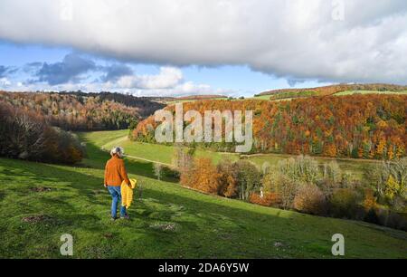 Arundel West Sussex UK 10. November - EIN Wanderer genießt die warme Sonne und schöne Herbstfarben rund um Arundel Park in West Sussex heute als der Südosten in wärmeren als normale Temperaturen für die Zeit des Jahres baden . : Credit Simon Dack / Alamy Live News Stockfoto