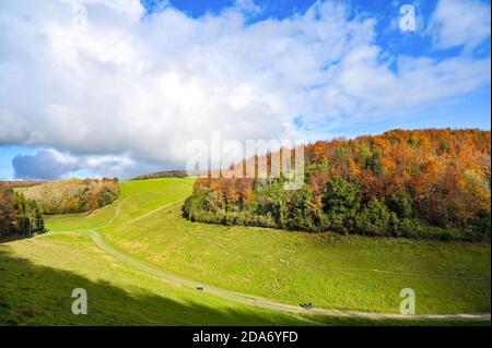 Arundel West Sussex UK 10. November - Wanderer genießen die warme Sonne und schöne Herbstfarben rund um Arundel Park in West Sussex heute als der Südosten in wärmeren als normale Temperaturen für die Zeit des Jahres baden . : Credit Simon Dack / Alamy Live News Stockfoto