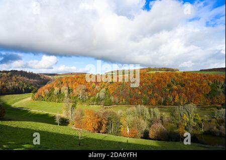 Arundel West Sussex UK 10. November - Wanderer genießen die warme Sonne und schöne Herbstfarben rund um Arundel Park in West Sussex heute als der Südosten in wärmeren als normale Temperaturen für die Zeit des Jahres baden . : Credit Simon Dack / Alamy Live News Stockfoto