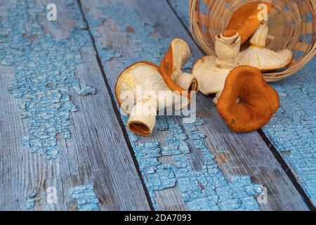 Orange Pilze auf einem hölzernen Hintergrund. Selektiver, verschwommener Fokus. Mandarinenpilze, kreatives Produkt. Holzbretter mit abgewetzter blauer Farbe Stockfoto