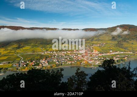 Weissenkirchen Wachau Österreich im Herbst färbte Blätter und Weinberge auf Ein sonniger Tag Stockfoto