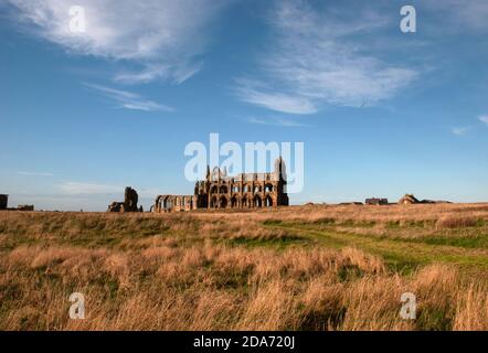 Whitby Abbey, England, Großbritannien. Stockfoto