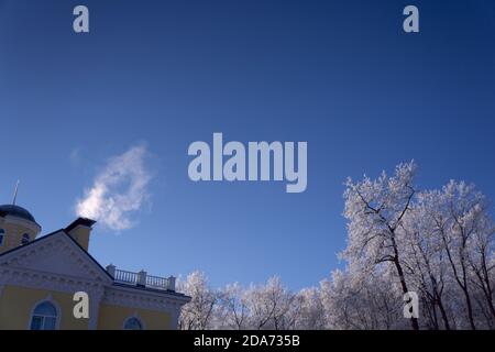 Neu Schnee auf Baum im Wald am Sonnentag Stockfoto